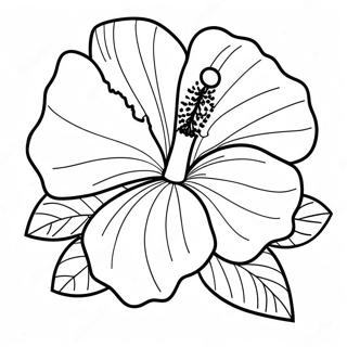 Pagina Para Colorir Flor De Hibisco 7044-5730