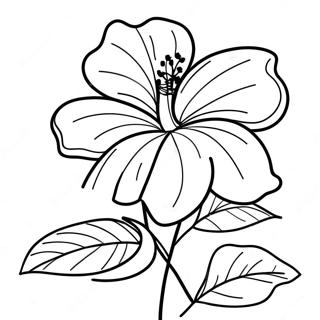 Pagina Para Colorir Flor De Hibisco 7044-5731