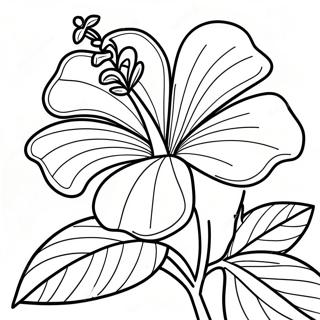 Pagina Para Colorir Flor De Hibisco 7044-5732