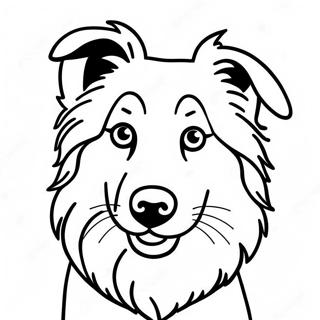 Pagina Para Colorir Cao Collie 72073-59542