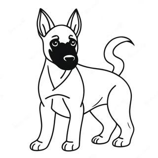 Malinois Belga Páginas Para Colorir