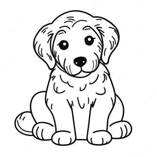 Pagina Para Colorir Filhote De Goldendoodle 7934-6444