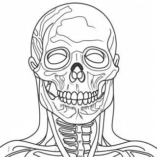 Pagina Para Colorir De Anatomia 981-784