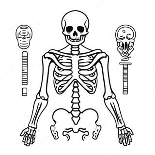 Pagina Para Colorir Da Anatomia Do Esqueleto Humano 982-786